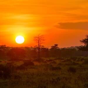 Safari Joyas de Kenia y Tanzania